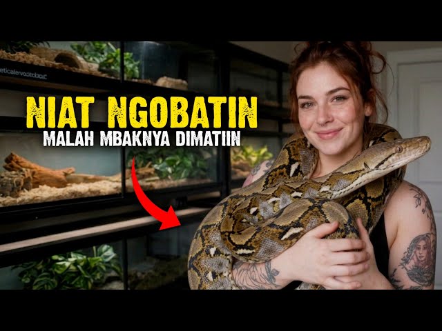 Woman Killed After Being Constricted by Pet Python While Treating It