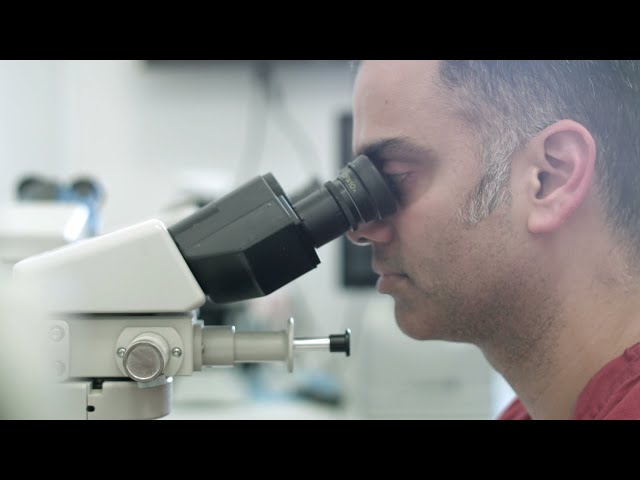Mohs surgery explained