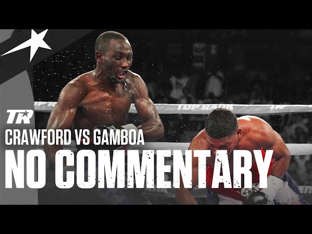 Listen To The PUNCHES By Terence Crawford Here | NO COMMENTARY