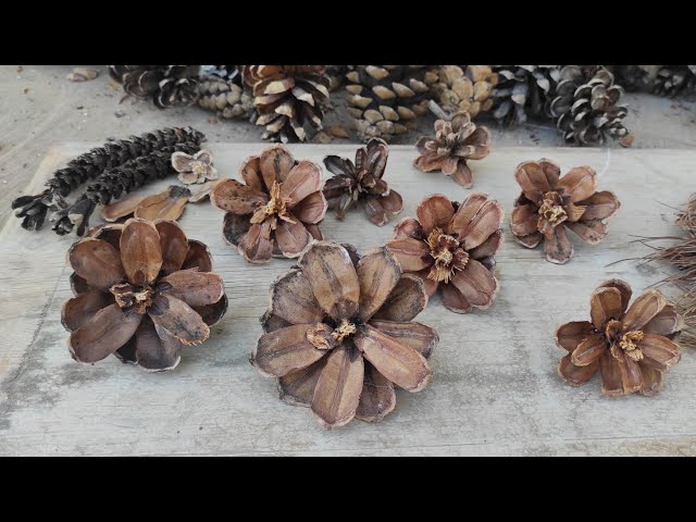 How to Cut Pine Cone into Flowers | DIY tutorial Cutting pine cones