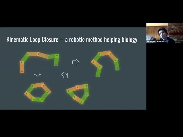 A computational approach to design structured peptides and predict peptide behavior in solution