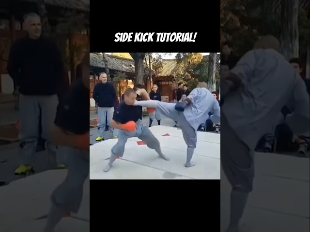 Side Kick Tutorial! #martialarts #taekwondo #karate #silat #kungfu #shorts