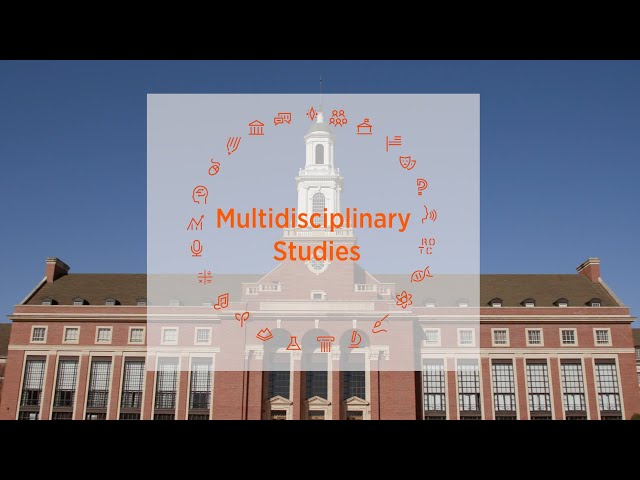 Multidisciplinary Studies