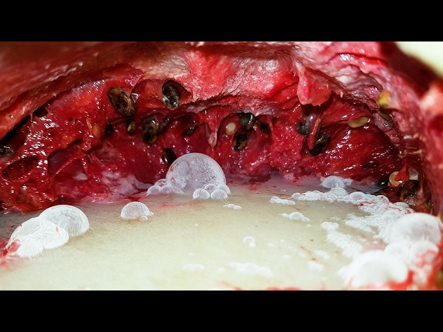 GoPro inside a watermelon - 128 DAYS