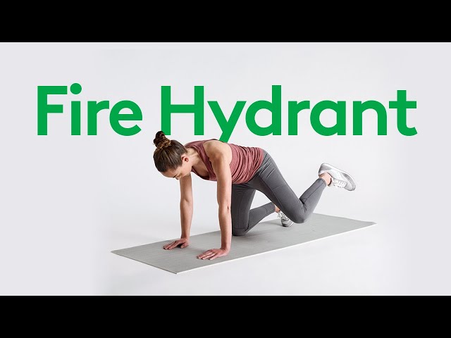 How to Do a Fire Hydrant Exercise: A Guide from Physical Therapists