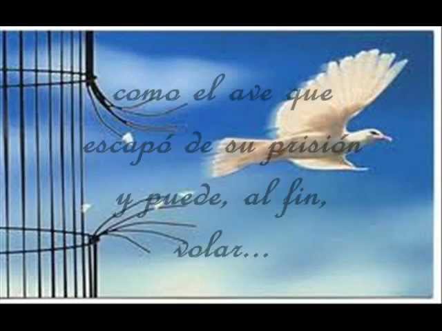 Nino Bravo, Libre