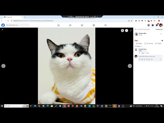 Facebook Comment Bot  [14.01.2026]