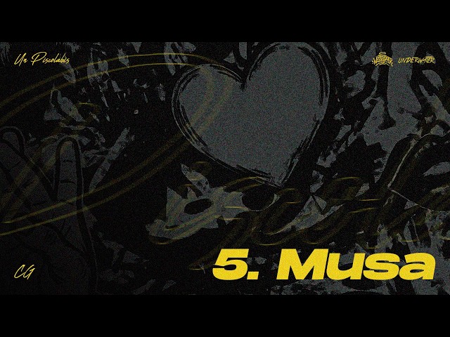 CG -  MUSAA (VISUALIZER)