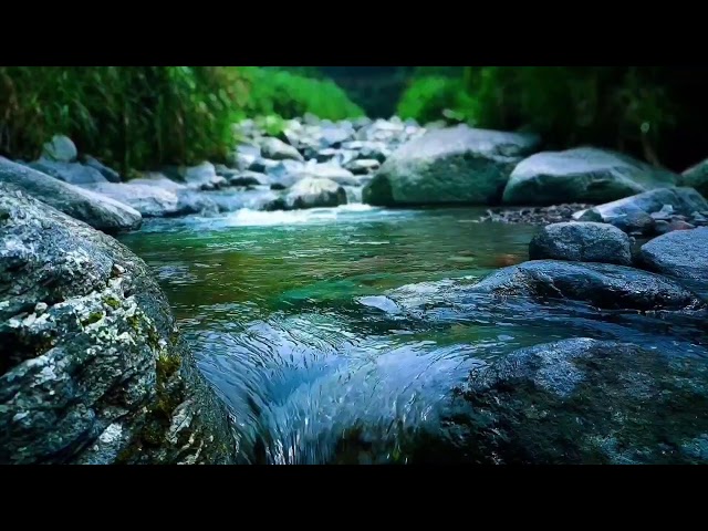 🌊 Gentle River Falls ASMR Sounds for Deep Sleep, Relaxation & Anxiety Relief