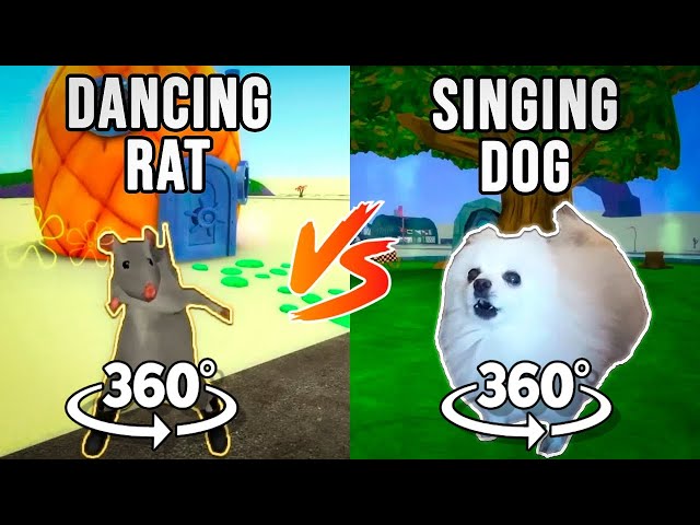 RAT DANCE vs SINGING DOGS 360° VR