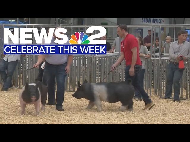 News 2 Celebrate: Celebrating the people and places that make WNY special