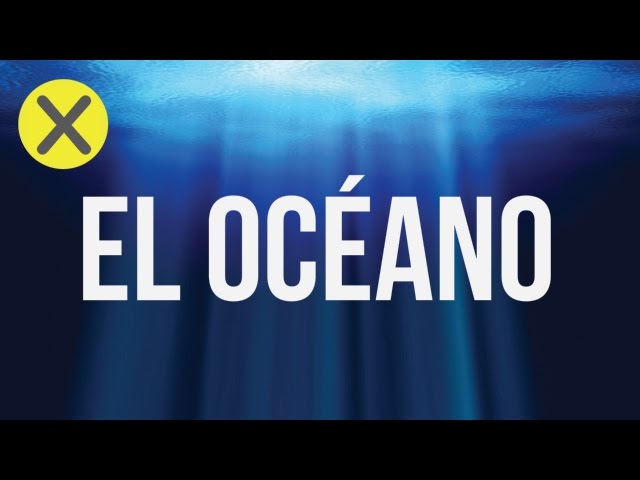 10 Fun Facts About the Ocean (CG#3)