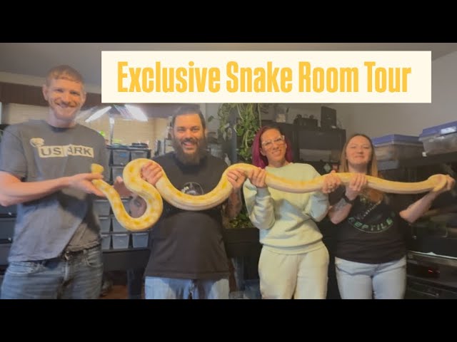 Exclusive Snake Room Tour for Our Friends‼️