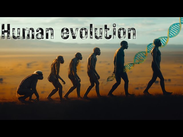 The Story of Human Evolution