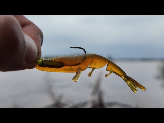 Winter Bream Go CRAZY Over This Lure! | Perth Bream Fishing