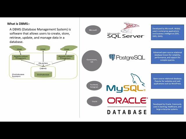 What is DBMS