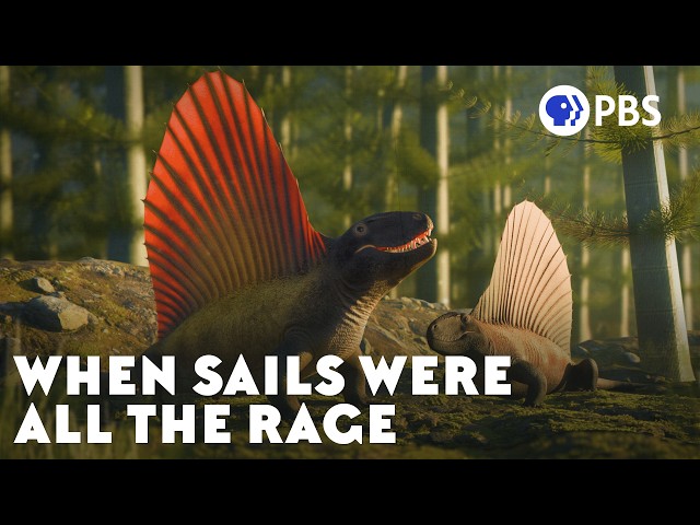 Why Were Sails So Popular 300 Million Years Ago