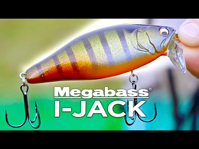 MEGABASS I-JACK