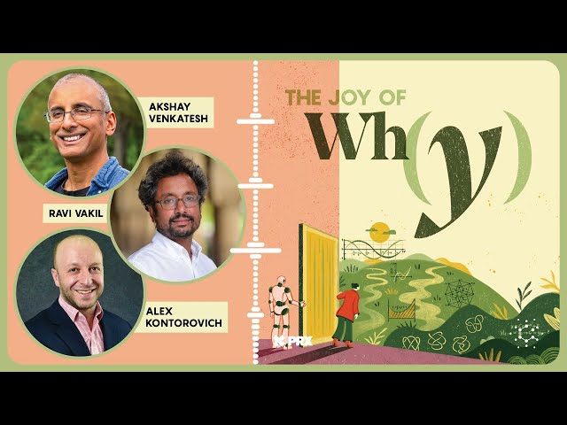 What Is Math For in the Age of AI? - Live from ICM 2026 | PODCAST: The Joy of Why
