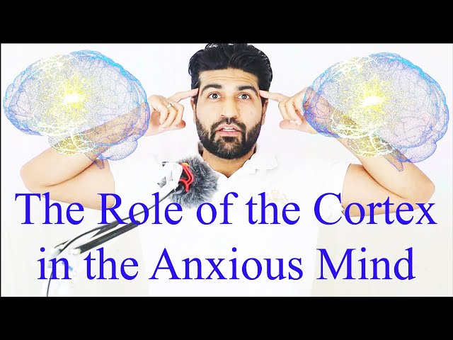What is the Role of the Cortex in the Anxious Mind? Neuroplasticity!