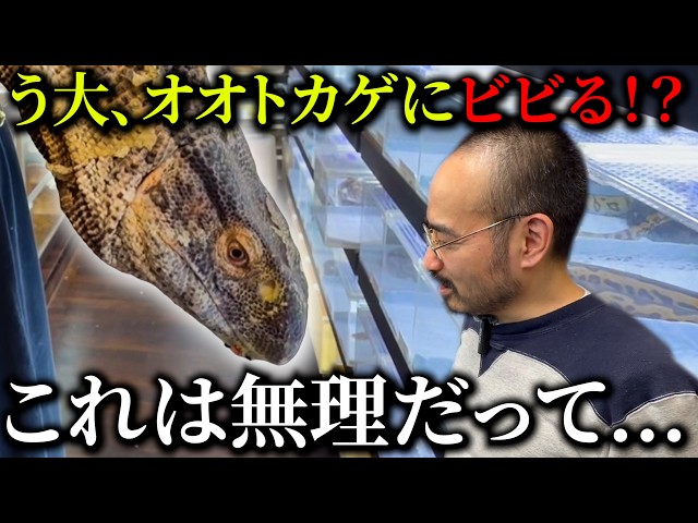 【オオトカゲ】う大、モニターは共演NG...？