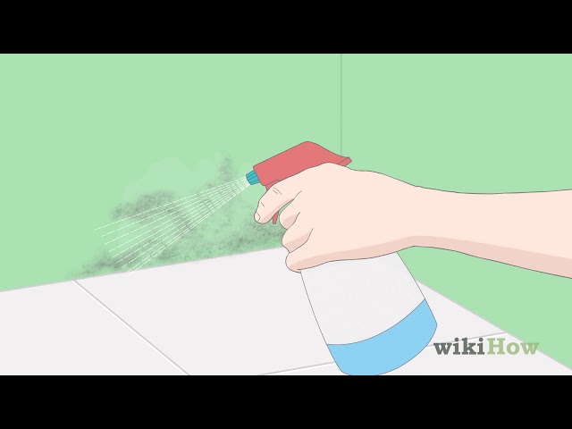 How to Kill Mold With Vinegar