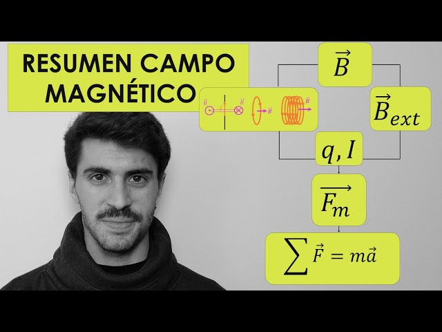 Campo Magnético y Magnetismo de Física 2 Bachillerato Resumen Completo Para Sacar el 10 | FísicaPRO