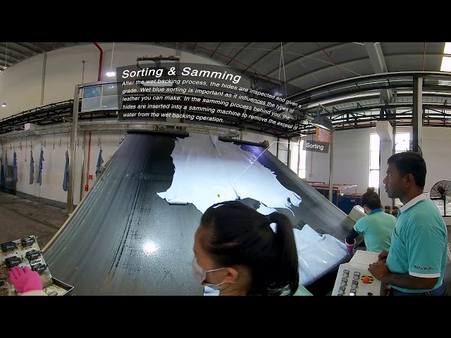 PrimeAsia Vietnam - Sorting and Samming (360° Video)