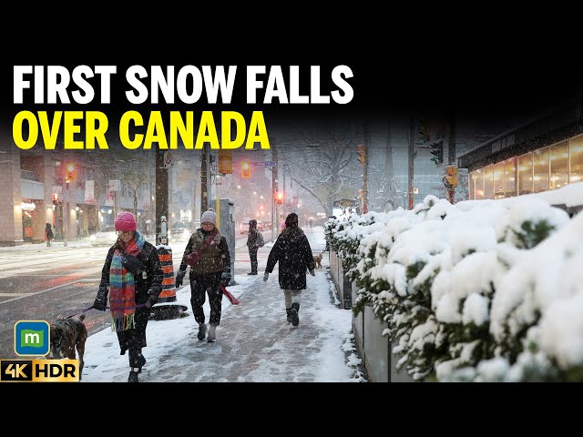 Toronto Experiences First Snowfall Of The Year | Stunning Winter Views