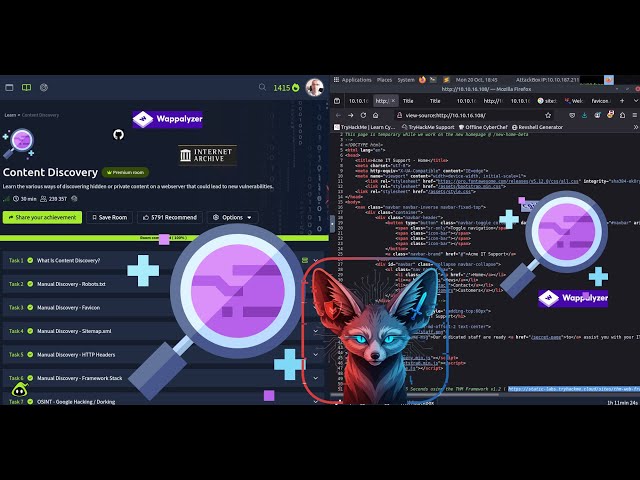 TryHackMe Content Discovery - Full Walkthrough 2025
