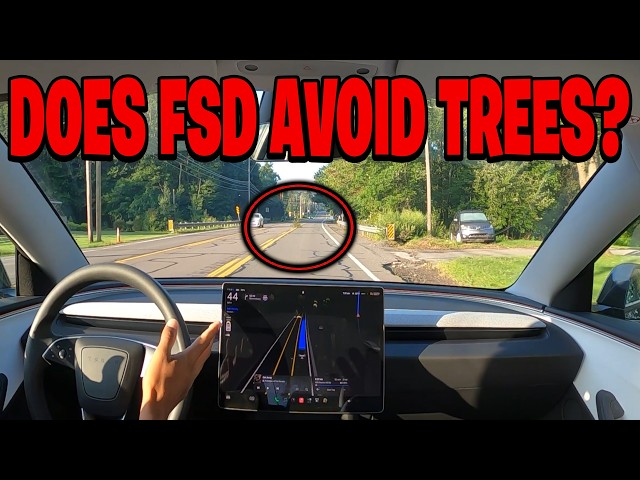 Does Tesla FSD Actually Avoid Trees? (Testing 14.3.7)