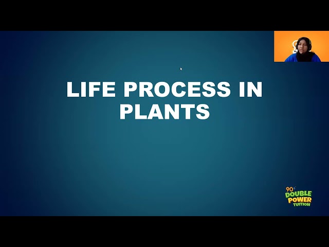 7CB LIFE PROCESSES IN PLANTS Biology New - DAY 3 WORKOUT