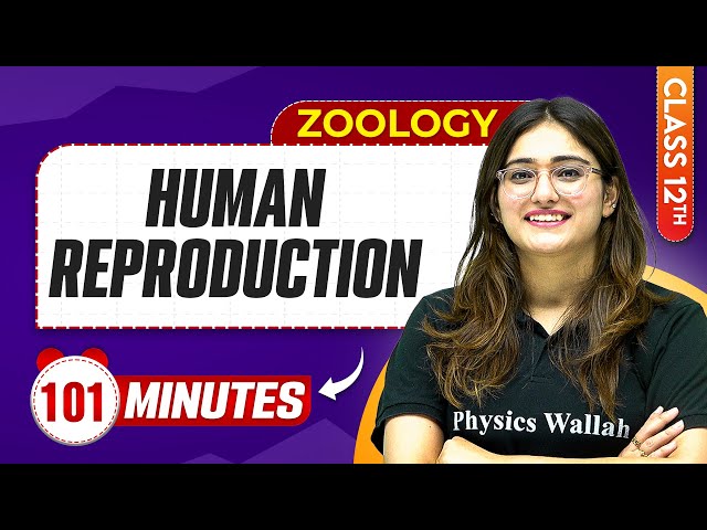 Human Reproduction in 100 Minutes | Class 12th Zoology | Mind Map Series