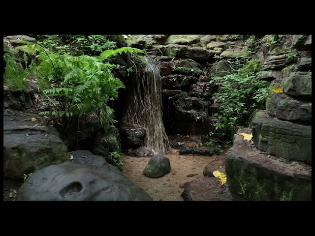 Relaxing and Mind Soothing Music | Knowledge Nuggets