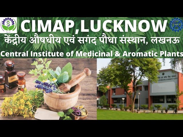 CIMAP, LUCKNOW || CSIR-CENTRAL INSTITUTE OF MEDICINAL AND AROMATIC PLANTS, LUCKNOW || सीमैप लखनऊ