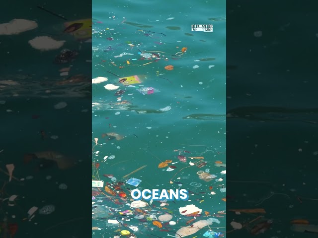 Microsoft’s Majorana 1: A Quantum Leap