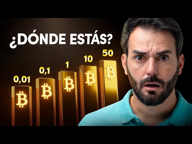Si tienes 0,01 BTC… ya estás en el TOP 1%. Los 9 niveles de riqueza en Bitcoin