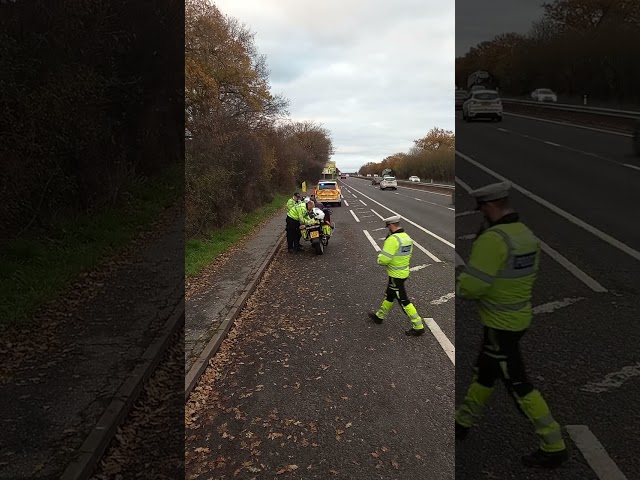 how the pigs bully their victims part 2 sorry for the poor sound. worried, not thinking straight. 😕