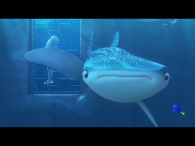 Finding Dory - Dory & Destiny First Encounter