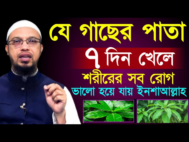 যে গাছের পাতা ৭দিন খেলে শরীরে সব রোগ ভালো হয়ে যায় ইনশাআল্লাহ। শায়খ আহমাদুল্লাহ, Sheikh Ahmadullah