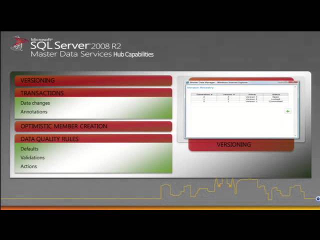Microsoft SQL Server Analysis Services Dimension Management with Master Data Services (MDS) - EPC