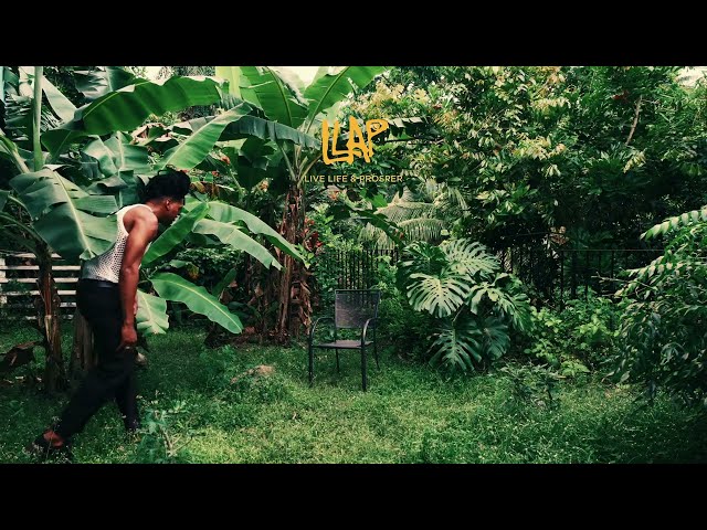 D'Yani - Blooming (Visualiser)