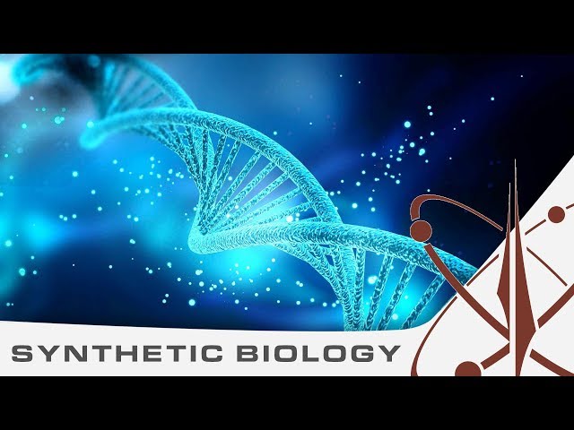 Biohacking bacteria - Discovery 2.02