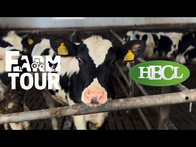 Farm Tour Slovenia– Hecl (Episode 4)