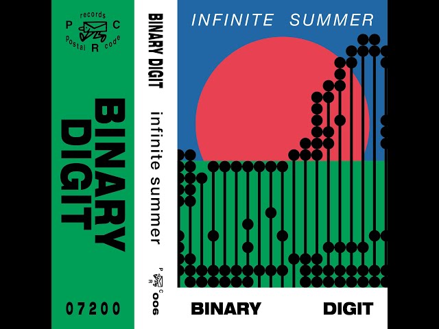 Binary Digit -- PLAIN VISITOR