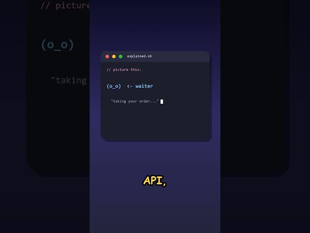 What Is an API, Actually?