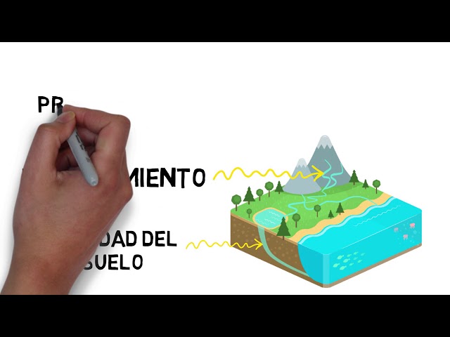 ¿Qué es la sequía?