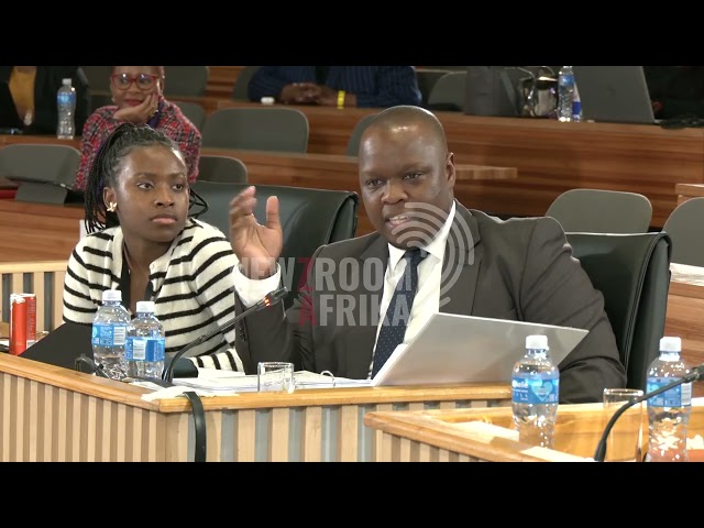 Madlanga Commission interpreter steals the show