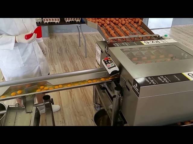 Egg breaker RZ-6, WWW.EGG-BREAKERS.COM
