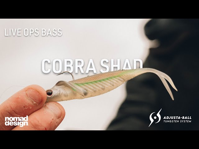 Live Ops Adjusta Ball Tungsten System – Ultimate Control Over Your Soft Plastics | COBRA SHAD